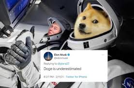 Elon musk mentioned dogecoin on saturday night live during his opening monologue. Dogecoin Up 16 After Elon Musk Says He Bought Some For His Son Micky News