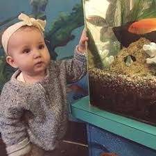 Check spelling or type a new query. Sloane Ava Simone Haggerty Net Worth