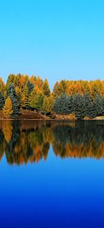Autumn iphone x wallpaper on photobest1.com. Saihanba Shenlongtan Trees Lake Water Reflection Autumn 1125x2436 Iphone 11 Pro Xs X Wallpaper Background Picture Image