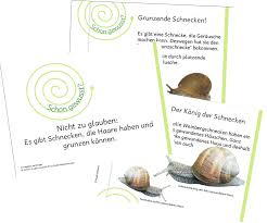 Schnecken In Schule Unterricht Schnecken Schule Sachunterricht Grundschule