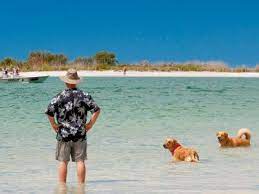 Bonita Beach Dog Park In Florida Fort Myers Dog Beach Must Do Visitor Guides Dog Friendly Beach Bonita Beach Dog Beach