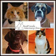 Maple grove, mn minneapolis, mn princeton, mn annandale, mn anoka, mn buffalo, mn osseo, mn saint cloud, mn. Monticello Pet Hospital Home Facebook