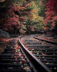 11 Beautiful Make Money Blogging Simple Ideas Photo Art Nature Photography Landscape Photography