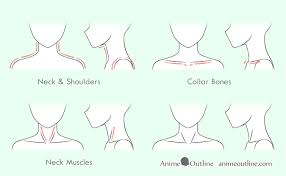 Anime Neck Shoulders Drawing Step By Step Drawing Anime Bodies Body Drawing Tutorial Anime Drawings Sketches