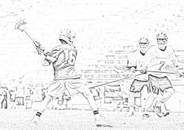Download or print this amazing coloring page: Clover Men S Lacrosse Cloverlacrosse Twitter