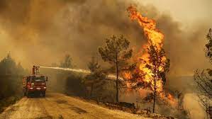 Usted puede tomar medidas a fin de estar preparado para los incendios forestales y preparar su casa y jardín para reducir sus riesgos. Al Menos Cuatro Muertos En Decenas De Incendios Forestales En Turquia Internacional El Pais