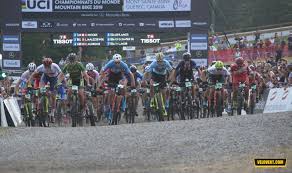 Maybe you would like to learn more about one of these? Infos Velo Championnats Du Monde Juniors Hommes Luca Martin Comme Un Grand