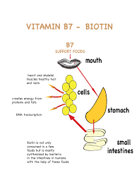 Still, people who support its use often recommend taking 2 to 5 milligrams (mg) of biotin in supplement form daily in order to strengthen hair and achieve results. Biotin For Hair Benefits And Side Effects Healthkart Blog