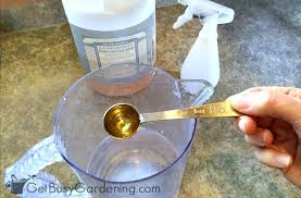 Just like before, you'll want to try this just on a few single leaves to see how they after you exterminate them, apply some essential oil sprays or diy soap sprays for spider mites. How To Get Rid Of Spider Mites On Houseplants For Good Get Busy Gardening