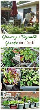 Vegetable Garden On A Deck Tips For Growing Vegetables On A Patio Growing Vegetables Growing Vegetables In Pots Backyard Vegetable Gardens