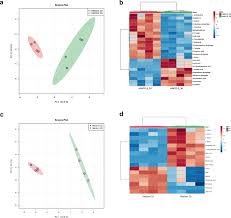 Animal cell culture media biology discussion. Cells Grown In Three Dimensional Spheroids Mirror In Vivo Metabolic Response Of Epithelial Cells Communications Biology