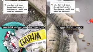 Jun 18, 2021 · jualan ikan segar di pasar, pria berwajah tampan ini jadi viral di tiktok. Ditonton 17 Juta Kali Di Tiktok Pria Bagikan Cara Hidupkan Ikan Mati Pakai Garam