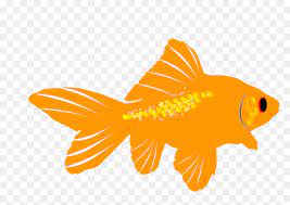 Check spelling or type a new query. Animasi Ikan Mas