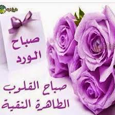 صور صباح الورد مع أجمل الكلمات والورود 2015 good morning صباح الخير in 2020 rose flowers plants