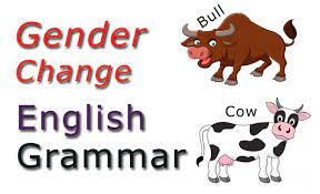 In english gender system affects only nouns and pronouns. Learn English Gender Change Animals Birds Etc Masculine And Feminine Nouns Checkall In