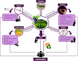 Select a language & country. Agriculture Waste Valorisation As A Source Of Antioxidant Phenolic Compounds Within A Circular And Sustainable Bioeconomy Food Function Rsc Publishing Doi 10 1039 D0fo00937g