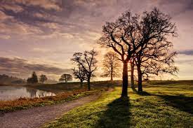 Barry O Carroll Photos Travel Urban And Landscape Photographer Night Landscape Photography Cool Landscapes Rule Of Thirds Photography