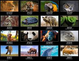 Mbti Animals Mbti Animals Mbti Mbti Personality