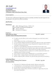 ali collection resume