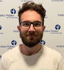 Mutational robustness of RNA viruses