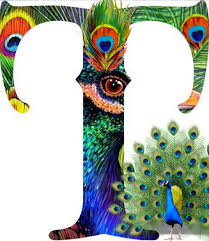 Birds That Start With The Letter T Pin By Tina Louise On Letters Alphabet Illustration Birds