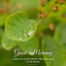 Use light colored surfaces in neutral colors to brighten your subjects on an overcast day. 45 Best Rainy Good Morning Images