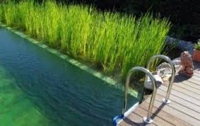 Biopiscine Prezzi Soluzioni Ed Esempi Di Piscina Naturale Piscina Naturale Laghetti Balneabili Piscine Naturali