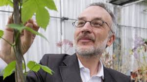 Triple zero, or, 000), among other names (born august 17, 1964 in montería, córdoba) is a colombian paramilitary leader. Chi E Stefano Mancuso Carriera E Vita Privata Del Neurobiologo Vegetale