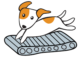 Dog Walking, Training, and Sitting