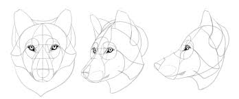 Check spelling or type a new query. Sketchbook Original How To Draw Wolves Monika Zagrobelna