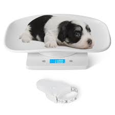 The Ultimate Guide to Digital Pet Scales