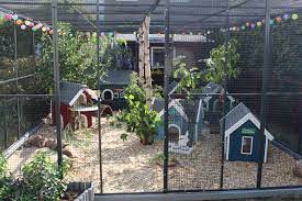 Hallo :) ich würde meinen beiden zwergen gerne zusätzlich zu ihrem gehege ein gartenhaus anbieten. 14 Kaninchengehege Ideen Kaninchengehege Kaninchen Gehege