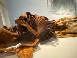 異男集中營 露營 刺激