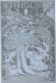 Dead mans plack an old thorn