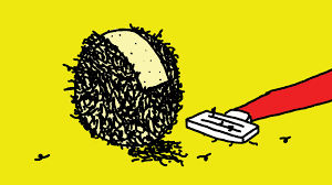 Check spelling or type a new query. How To Shave Your Balls Safely Gq