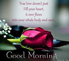 Pin On Quotes