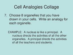 Maybe you would like to learn more about one of these? Cell Organelle Analogies Ppt Download