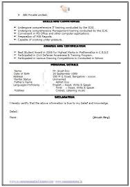 Create a professional resume in just 15 minutes, easy Example Of Declaration In Resume