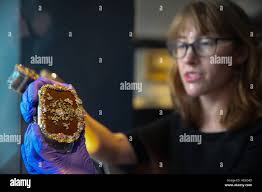 Swan size hi-res stock photography and images