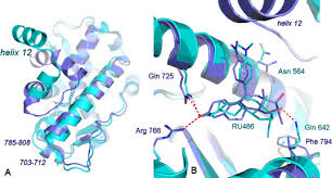 Nos coups de coeur sur les routes de france. The X Ray Structure Of Ru486 Bound To The Progesterone Receptor In A Destabilized Agonistic Conformation Journal Of Biological Chemistry