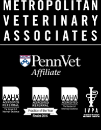 He's got cancer of the spleen, liver and pancreas. Thyroid Cancer In Dogs And Cats Metropolitan Veterinary Associates