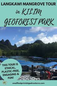 Langkawi adventures guarantee you the best experience! Our Amazing Langkawi Mangrove Tour In Kilim Geoforest Park Small Footprints Big Adventures