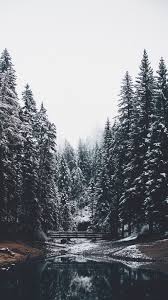 The Latest Iphone11 Iphone11 Pro Iphone 11 Pro Max Mobile Phone Hd Wallpapers Free Download Iphone Wallpaper Winter Winter Backgrounds Iphone Winter Iphone