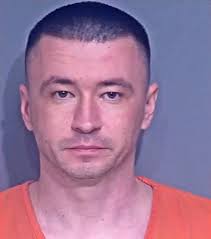 Ukrainian man pleads guilty to plot to drive woman from Gulf Shores  Brooklyn brothel