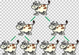 Cattle U82f1u97dcu6f2bu756b Cow Relationship Chart Png