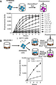RPMI8866 cell titration curves and inhibition of binding of α4β7... |  Download Scientific Diagram