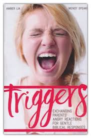 Triggers: Exchanging Parents' Angry Reactions for Gentle Biblical  Responses: Amber Lia, Wendy Speake: 9780692620755