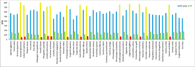 Image result for Digitaria compressa