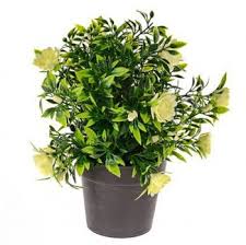 The delicate design depicted on the olhouser fiberglass window box planter is definitive of olhouser's formal style. Artificial Plants Ready Planted Displays Just Artificial