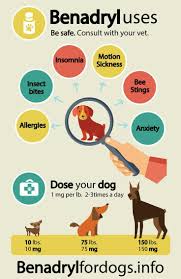 Helpful If You Have A Super Hyper Puppy Dog Benadryl Dog Remedies Benadryl For Dogs Dosage